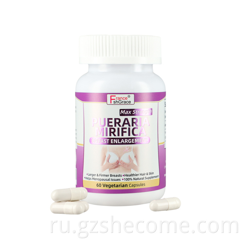 Promotes Nutrient Absorption